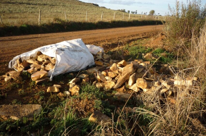 Lixo de toda espécie é jogado às margens de estrada
