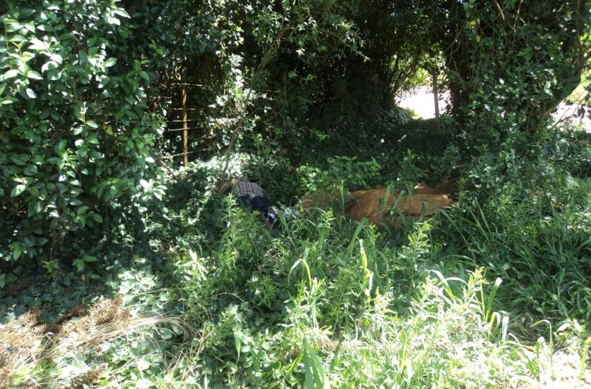  Idoso encontrado morto em matagal localizado em Capão da Herança