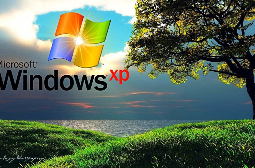Microsoft decreta nesta terça-feira “morte” do Windows XP