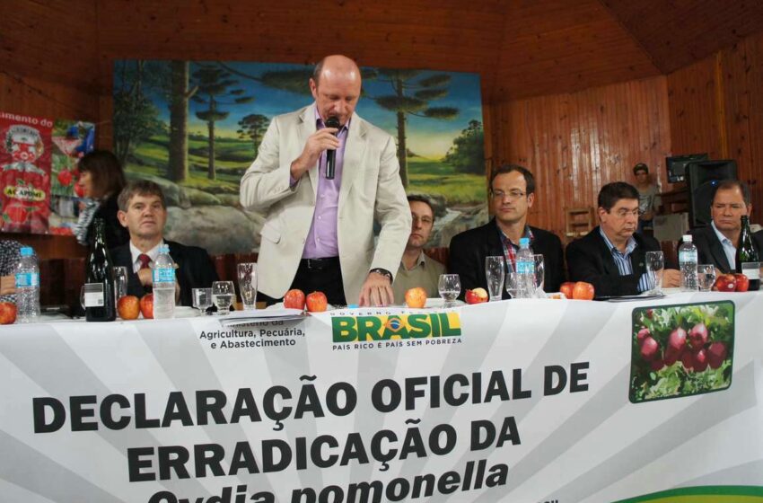MINISTRO DA AGRICULTURA DECRETA OFICIALMENTE ERRADICAÇÃO DA CYDIA POMONELLA NO BRASIL