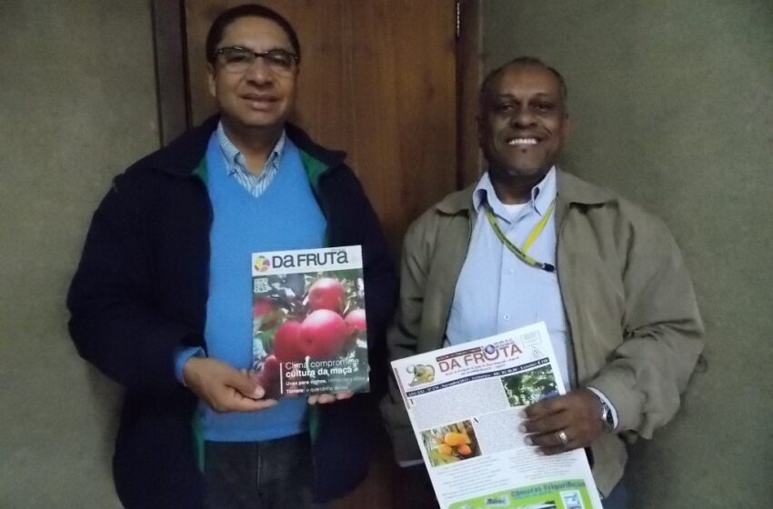 Será lançada no mês de maio a Revista da Fruta