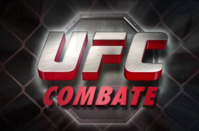 Brasília e mais três cidades do Brasil receberão UFC em 2014