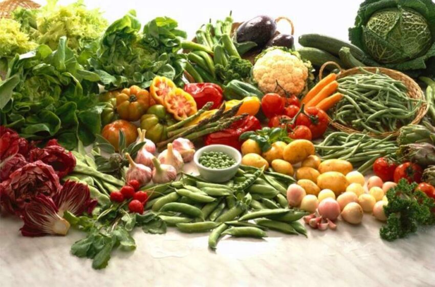 Crianças menores de 2 anos são mais abertas a provar legumes