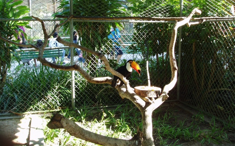 Sem adequação, zoológico de Passo Fundo corre risco de fechar no RS