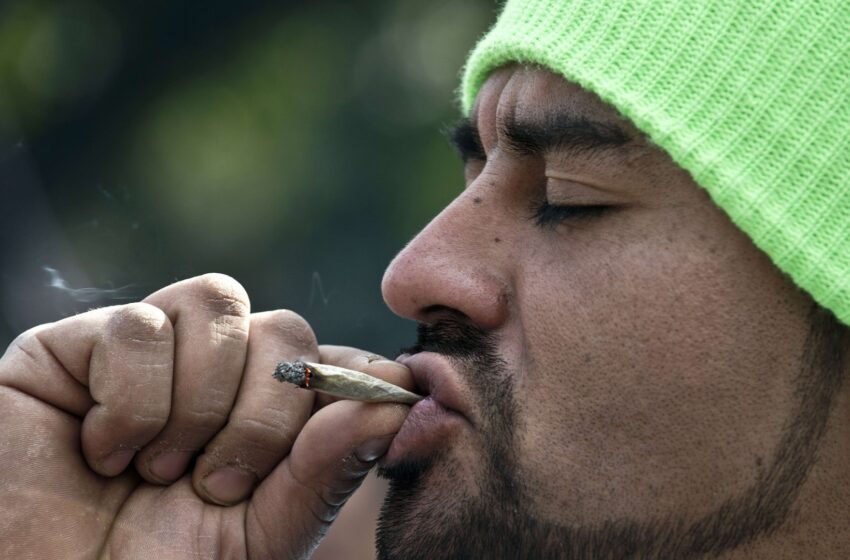 Fumar maconha na adolescência afeta QI pelo resto da vida