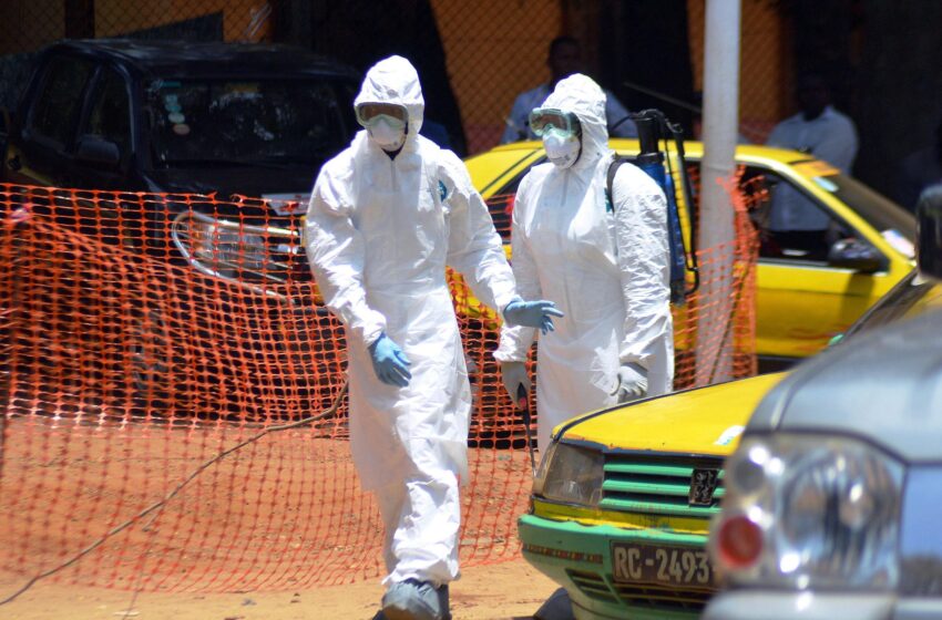 Saiba como se proteger do vírus Ebola