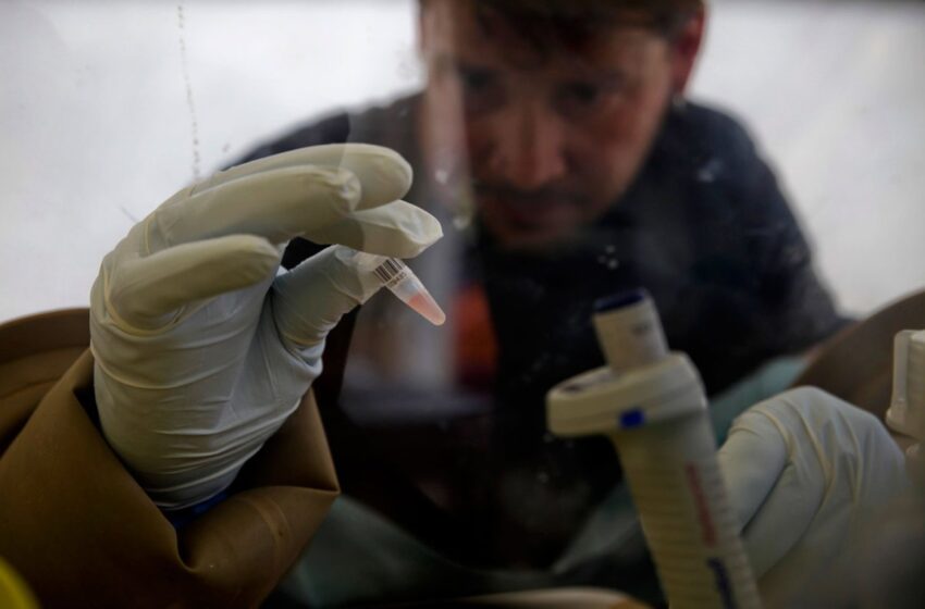 Medicamento secreto pode ter salvado doentes com ebola