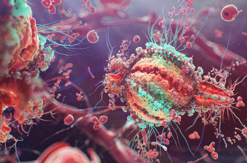 Fatores demográficos favorecem vírus como HIV e ebola