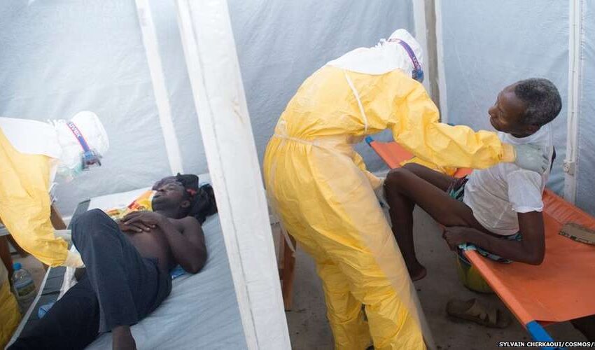 Surto atual de ebola já matou mais que todos outros juntos