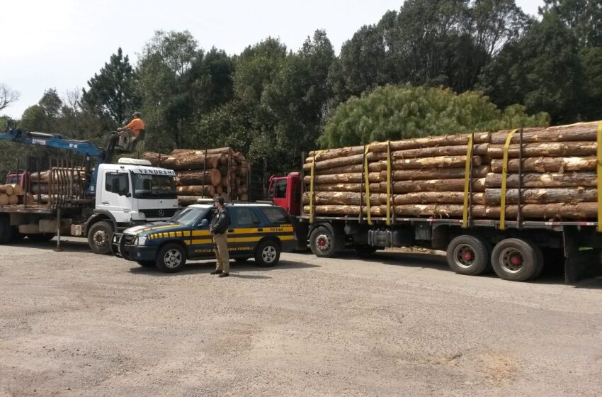 PRF fiscaliza excesso de peso na BR-116
