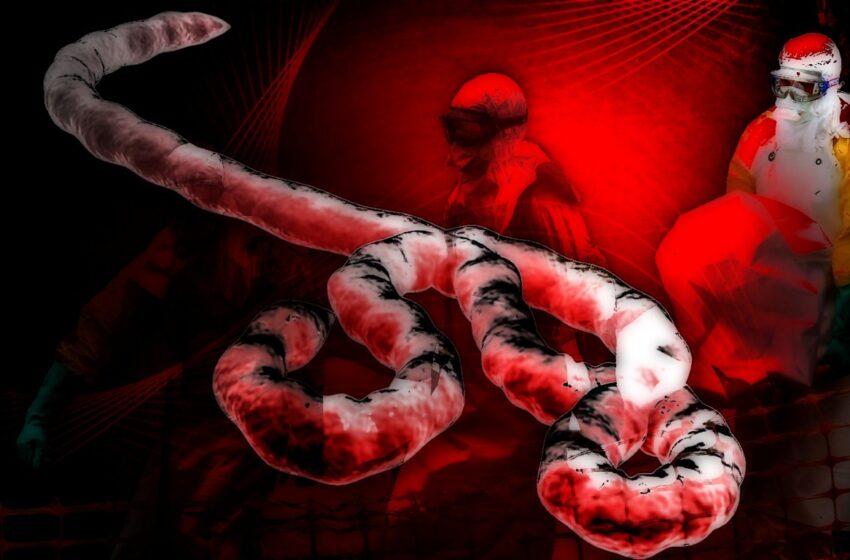 Resolução da ONU diz que ebola é ‘ameaça à segurança mundial’