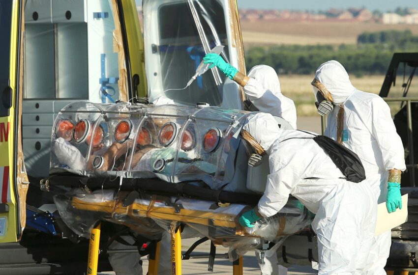  Risco de ebola chegar ao Brasil é de 5%, diz estudo