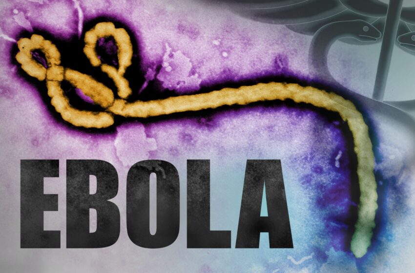  Primeiro paciente com suspeita de ebola no Brasil é transferido para o RJ