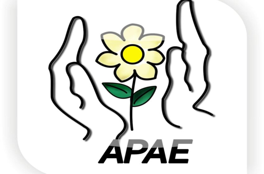  Câmara de Vereadores irá homenagear a APAE nesta terça-feira