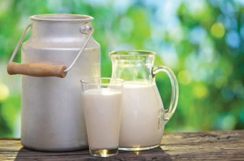  Estudo: consumir leite não diminui risco de fraturas ósseas
