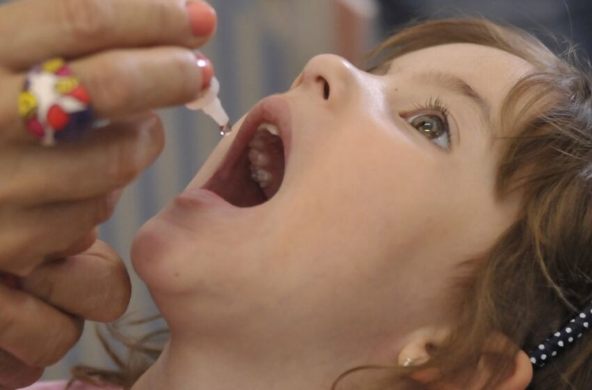  Campanha nacional de vacinação contra o sarampo e a paralisia infantil inicia em novembro