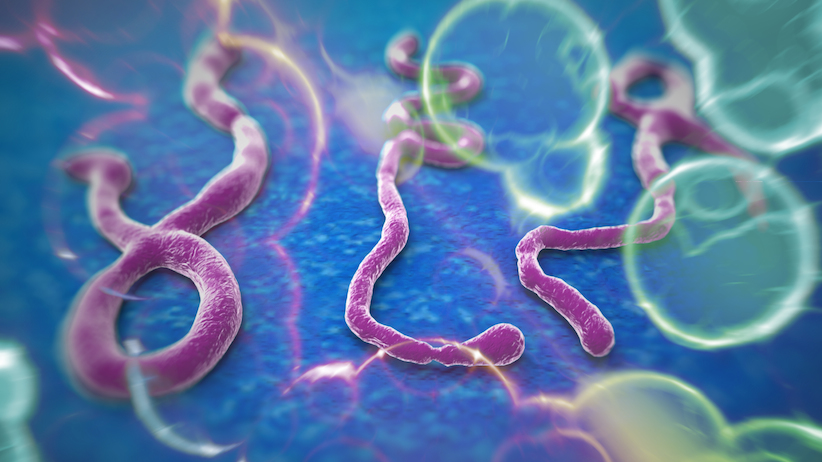  OMS revisa para 5.420 os mortos e 15.145 os casos de Ebola