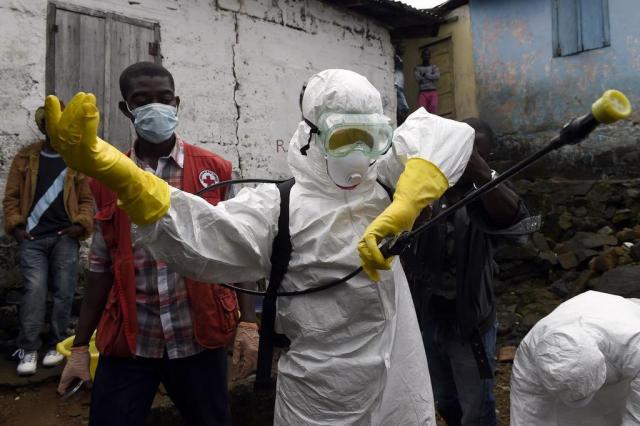  Morcego deu início ao surto de ebola, aponta estudo