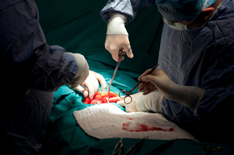  Conselho Federal de Medicina torna cirurgia de redução de estômago área de atuação da medicina