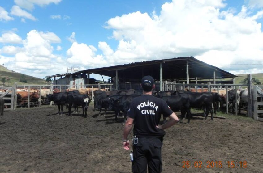  Polícia Civil realiza operação em Bom Jesus para combater abigeato e outros crimes relacionados a comercialização de gado