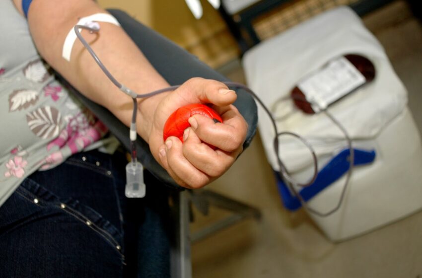  Campanha de doação de sangue ocorre na próxima semana