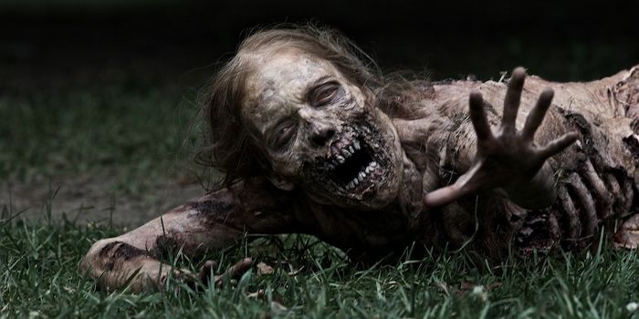  AMC chega ao Brasil e vai exibir série derivada de The Walking Dead e muito mais!