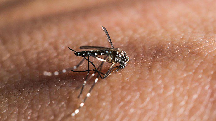  Dengue já atinge 90% das cidades de SP e se aproxima de nível epidêmico