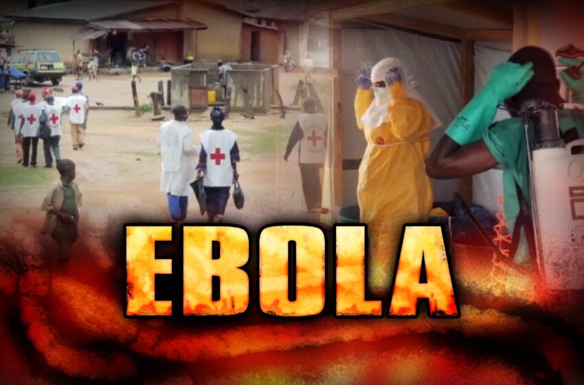  Um ano de ebola: representante da ONU diz que epidemia chega ao fim em agosto