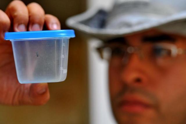  Capital emite o segundo alerta epidemiológico para dengue