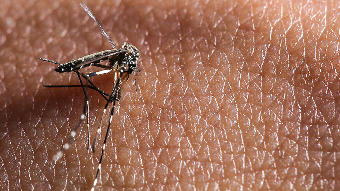  Dengue: por que é tão difícil exterminar a doença