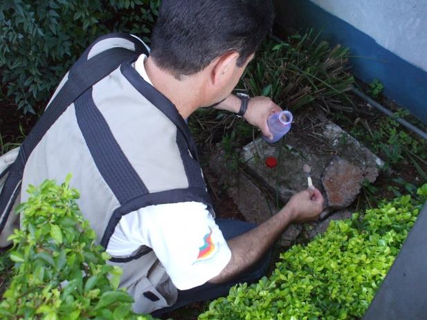 Santo Ângelo registra mais 27 casos de dengue