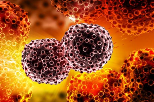  Cientistas removem a “imortalidade” das células cancerígenas