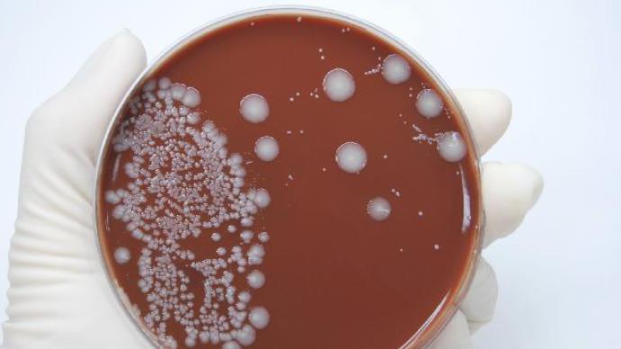 OMS estabelece prazo para o combate à resistência aos antibióticos