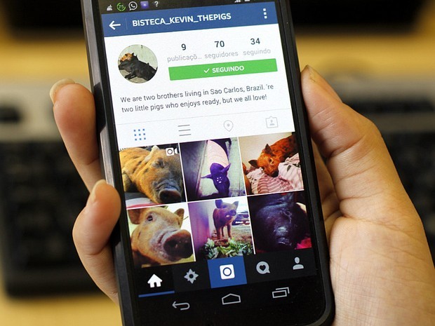 Usuários do Instagram reclamam de instabilidade na versão web do app