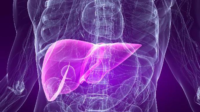 Três medicamentos inovadores contra hepatite C serão incluídos no SUS