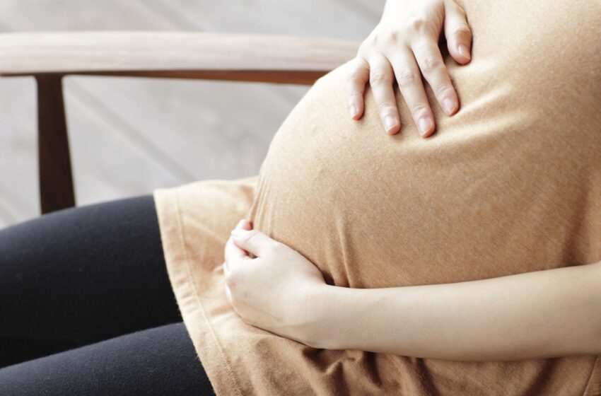 Grávidas inscritas no Bolsa Família receberão repelente