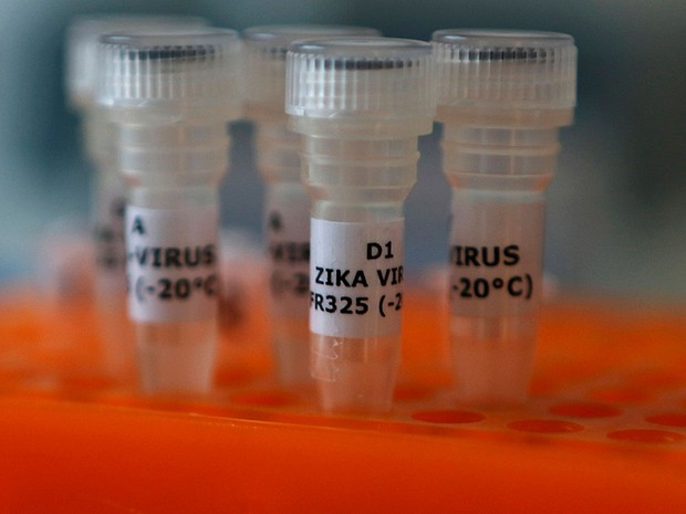  Brasil sonega amostras de zika para pesquisa no exterior, dizem cientistas