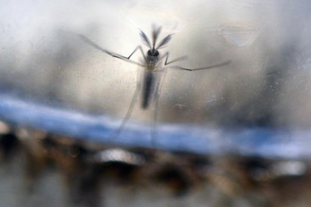 ‘El Niño do século’ atingiu seu ápice e começa a enfraquecer