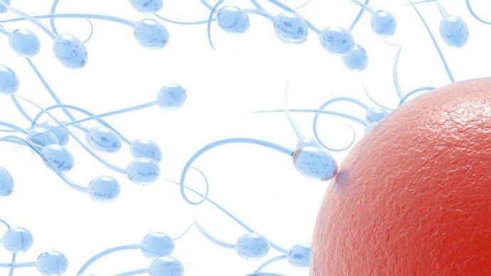 Cientistas avançam na pesquisa de anticoncepcional masculino