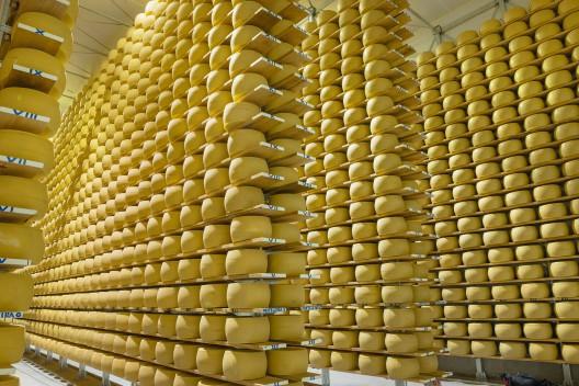  Família Randon vai produzir novo queijo e abrir franquias
