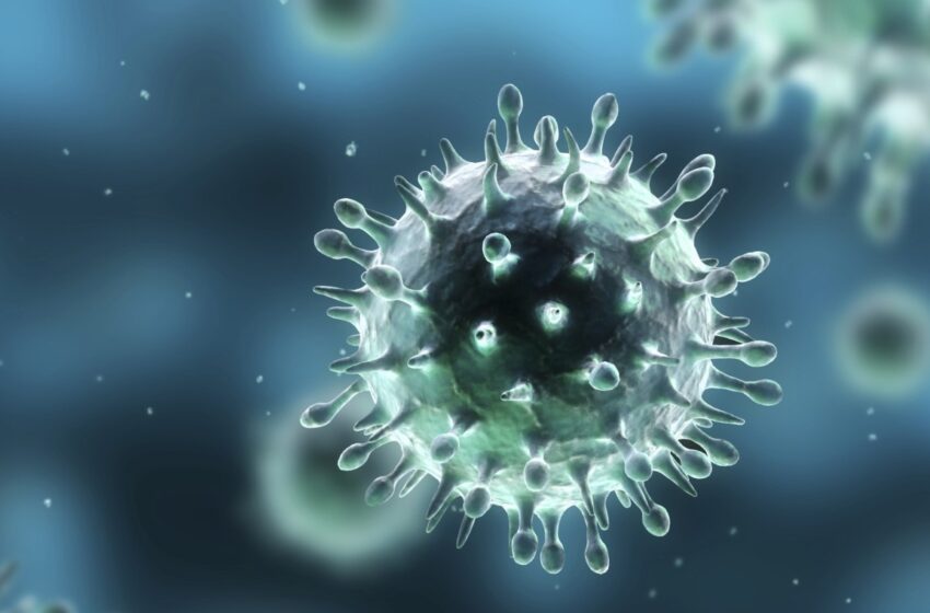 Rio Grande do Sul registra 35 mortes pelo vírus H1N1 em 2016