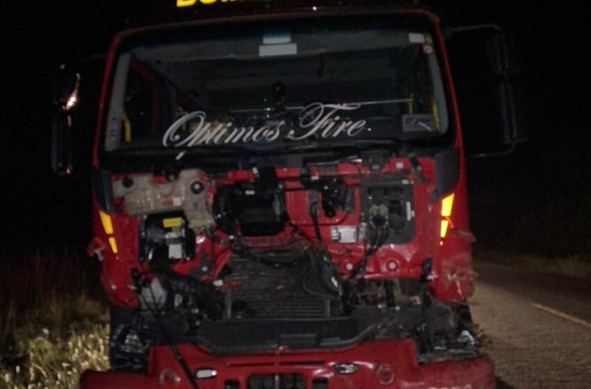 Caminhão dos bombeiros atropela búfalos na BR 285