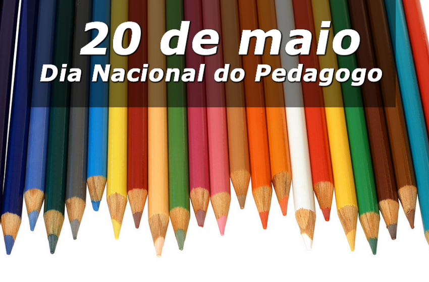 Dia do Pedagogo: profissionais enfrentam desafios durante isolamento