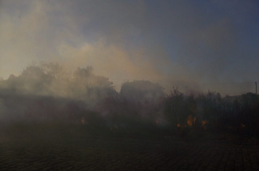 Encontro em Bom Jesus trata sobre queima controlada de campo nativo