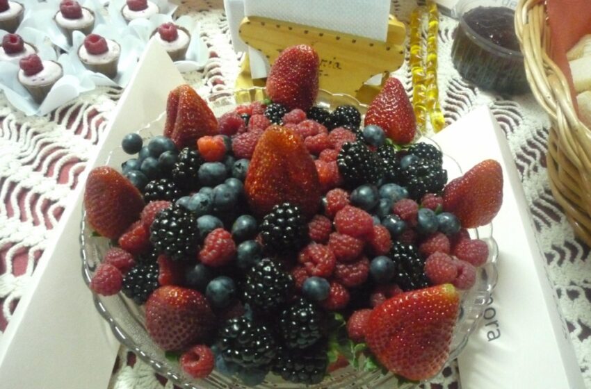 Lançada oficialmente a Feira de Pequenos Frutos, Artesanato e Mel