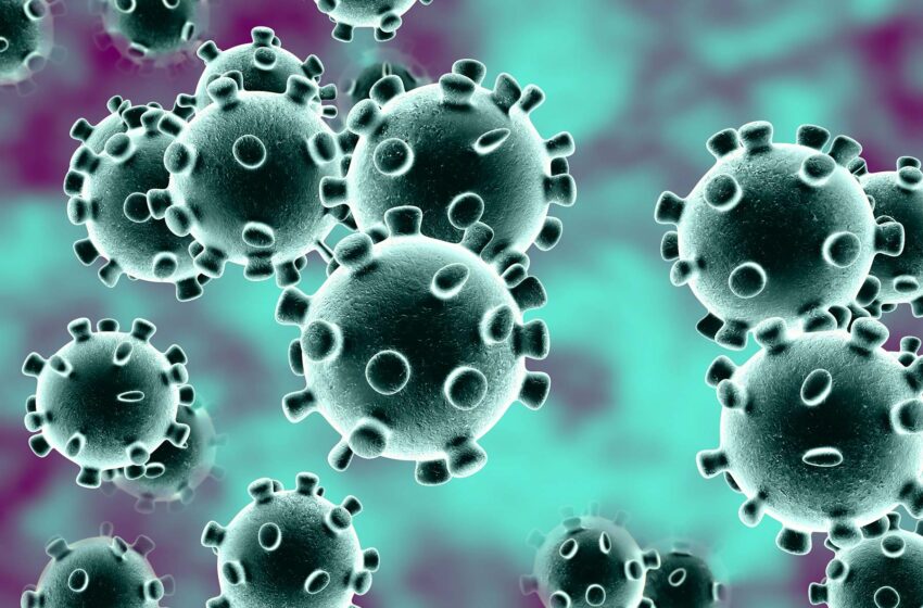 Estudo sugere que auge de infecções por Covid-19 já passou no RS