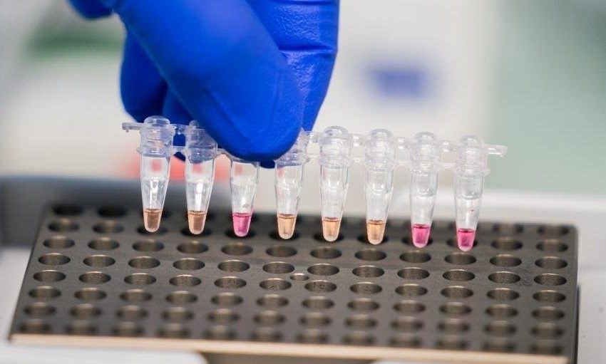 Vacina anticovid da Novavax tem mais de 90% de eficácia, inclusive contra variantes, diz estudo