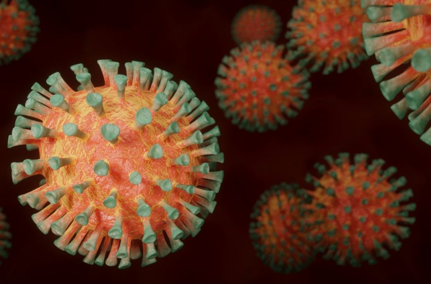 Covid: país registra mais de 2,9 mil municípios sem óbitos em 24 horas