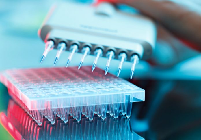 Vacina contra Alzheimer começa a ser testada em humanos