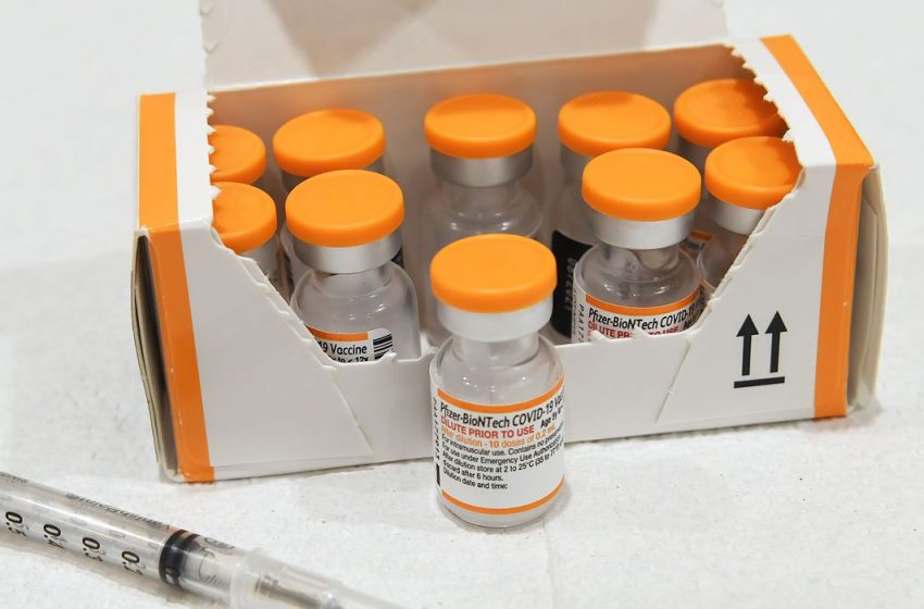  Pfizer antecipará 600 mil doses da vacina pediátrica contra a covid-19